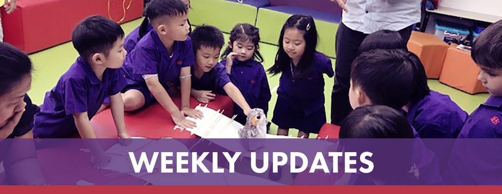 Beacon Hill School Esf Weekly And Monthly Updates 2018 19 Term 3 Week 5 Beacon Hill School 3424